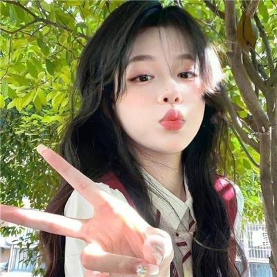 拯救林肯